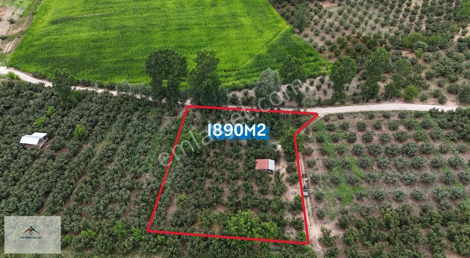 Hobi Bahcesi Yapmaya Uygun Resmi Yolu Olan Satılık Fındık Bahces - Görsel 16