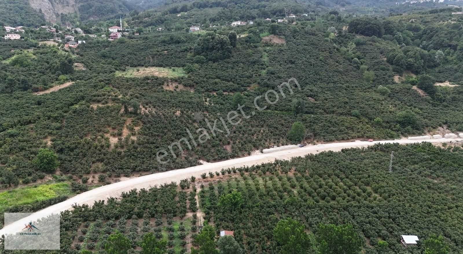 Hobi Bahcesi Yapmaya Uygun Resmi Yolu Olan Satılık Fındık Bahces - Görsel 5
