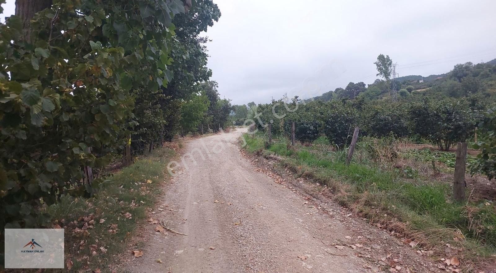 Hobi Bahcesi Yapmaya Uygun Resmi Yolu Olan Satılık Fındık Bahces - Görsel 3