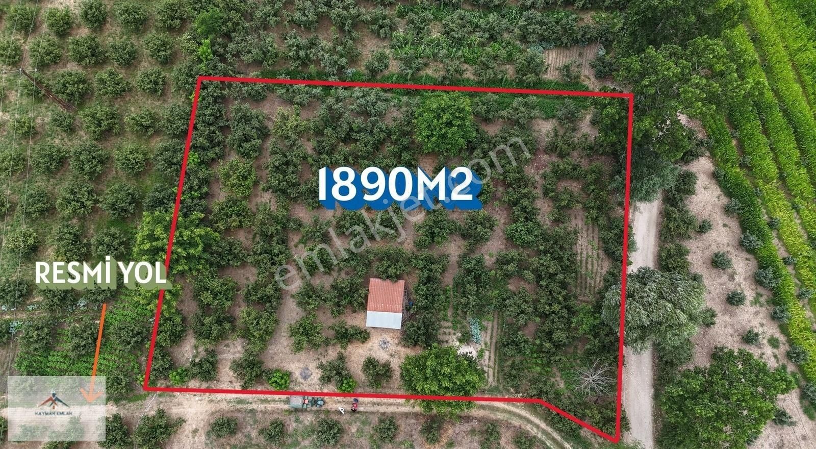 Hobi Bahcesi Yapmaya Uygun Resmi Yolu Olan Satılık Fındık Bahces - Görsel 21