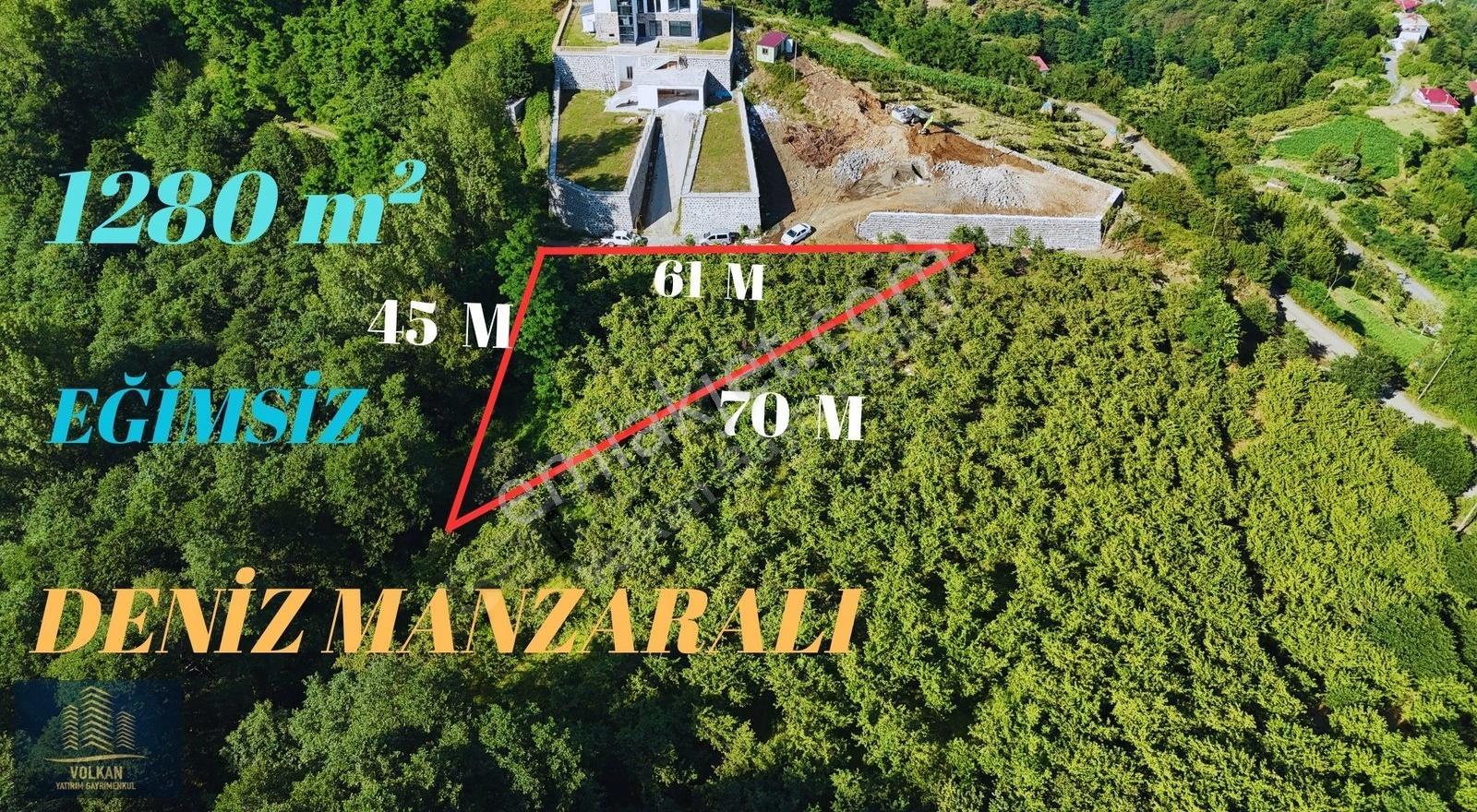 Mersinde 1280 M² Yola (61 M) Cephesi Olan Fırsat Arsa - Görsel 5
