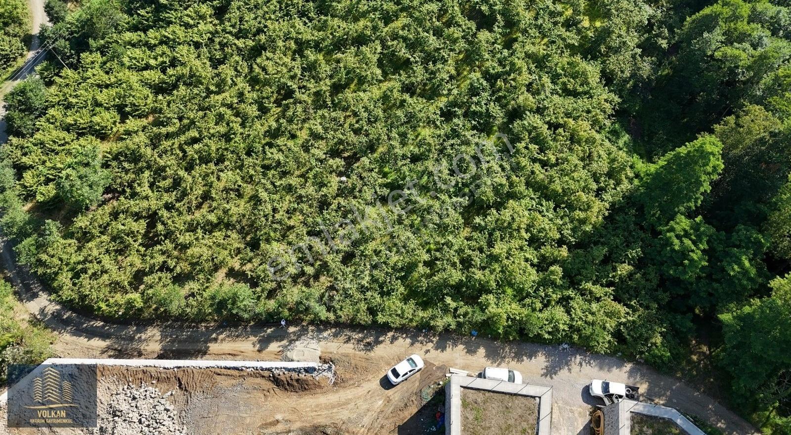 Mersinde 1280 M² Yola (61 M) Cephesi Olan Fırsat Arsa - Görsel 15
