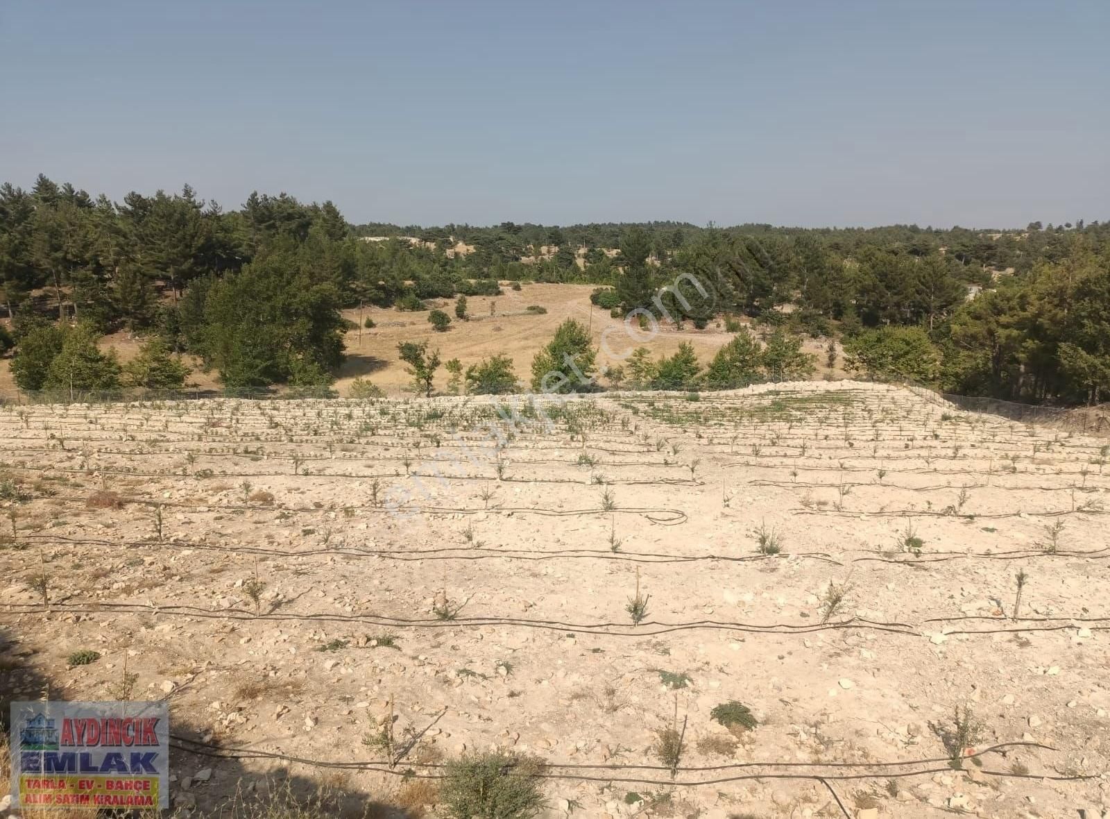 Aydıncık Emlaktan Satılık Tarla 17.074m2 - Görsel 11
