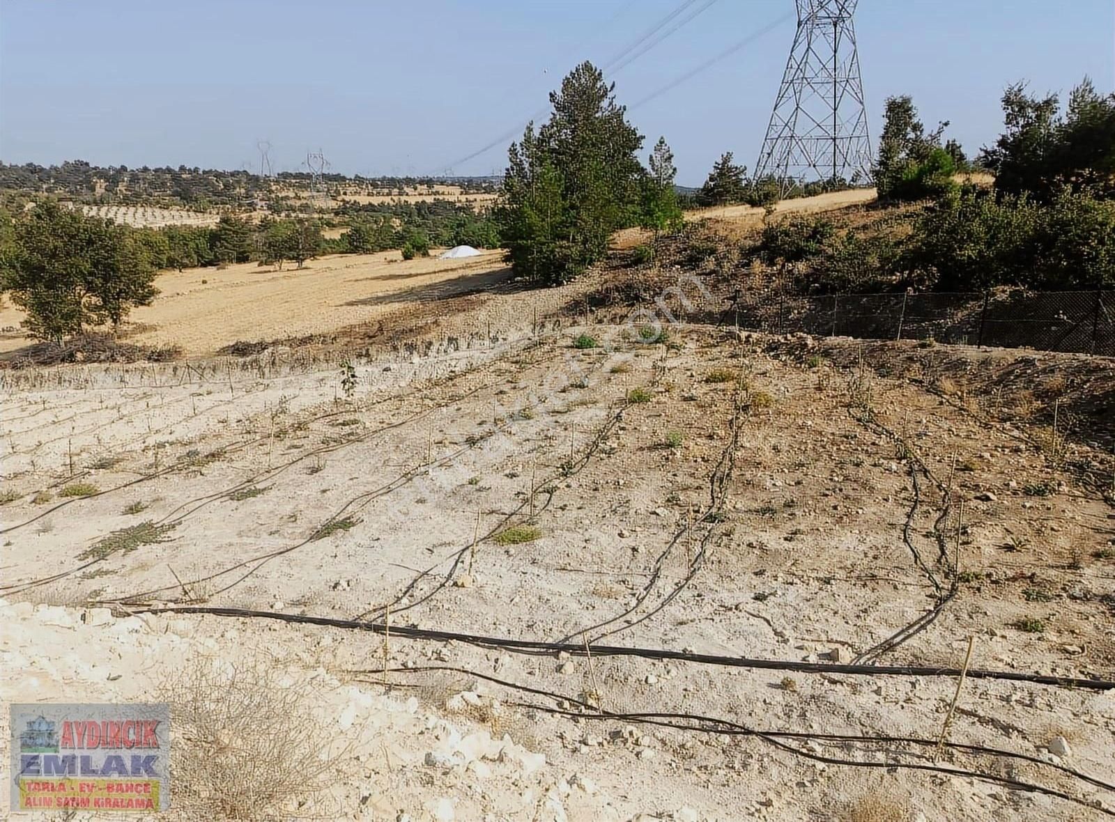 Aydıncık Emlaktan Satılık Tarla 17.074m2 - Görsel 17