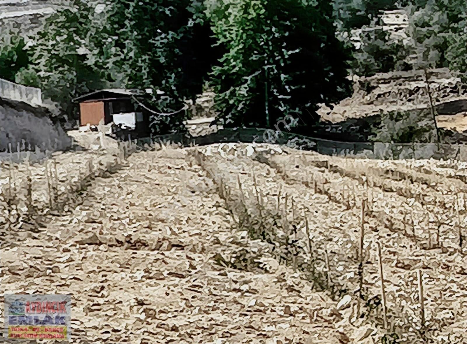 Aydıncık Emlaktan Satılık Tarla 17.074m2 - Görsel 15