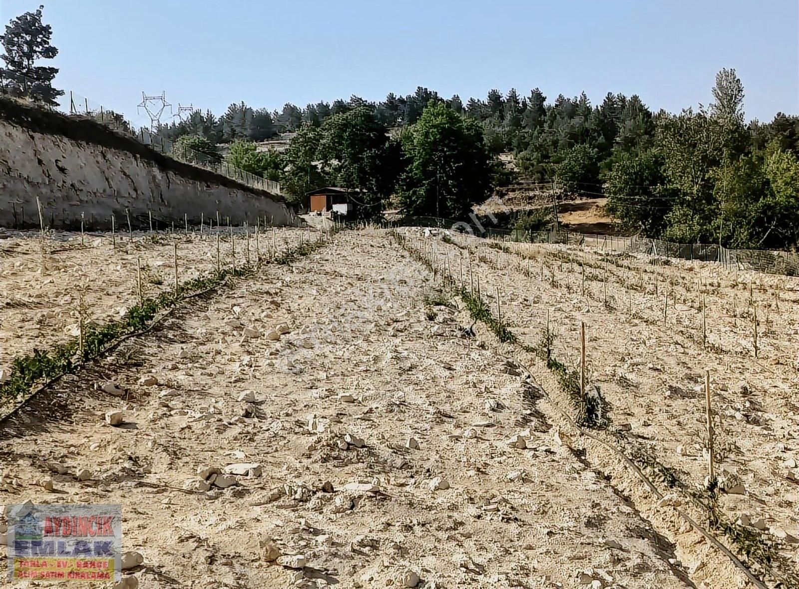 Aydıncık Emlaktan Satılık Tarla 17.074m2