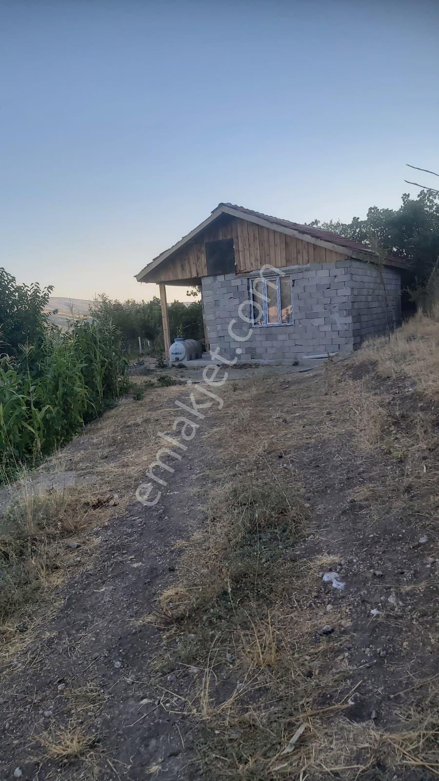 Kızılcahamam Sazak Köyü Elektrik Ve Suyu Evi Olan Bahçemiz Avil Satılık