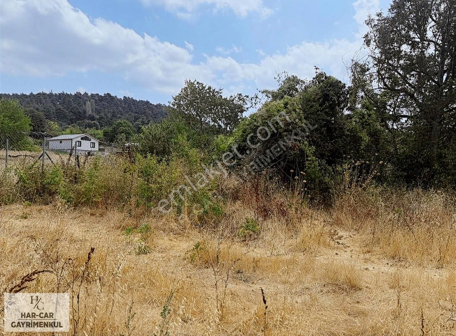 Demircide Yetırıma Uygun Fırsat Tarla... - Görsel 8