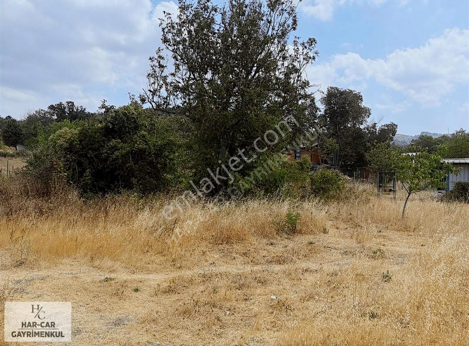 Demircide Yetırıma Uygun Fırsat Tarla... - Görsel 4