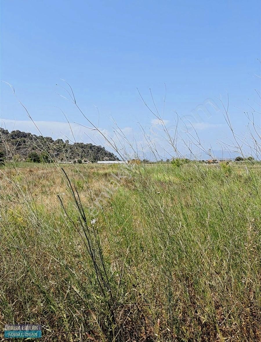 Muğla Ortaca Tepearası Mahallesinde Satılık Tarla