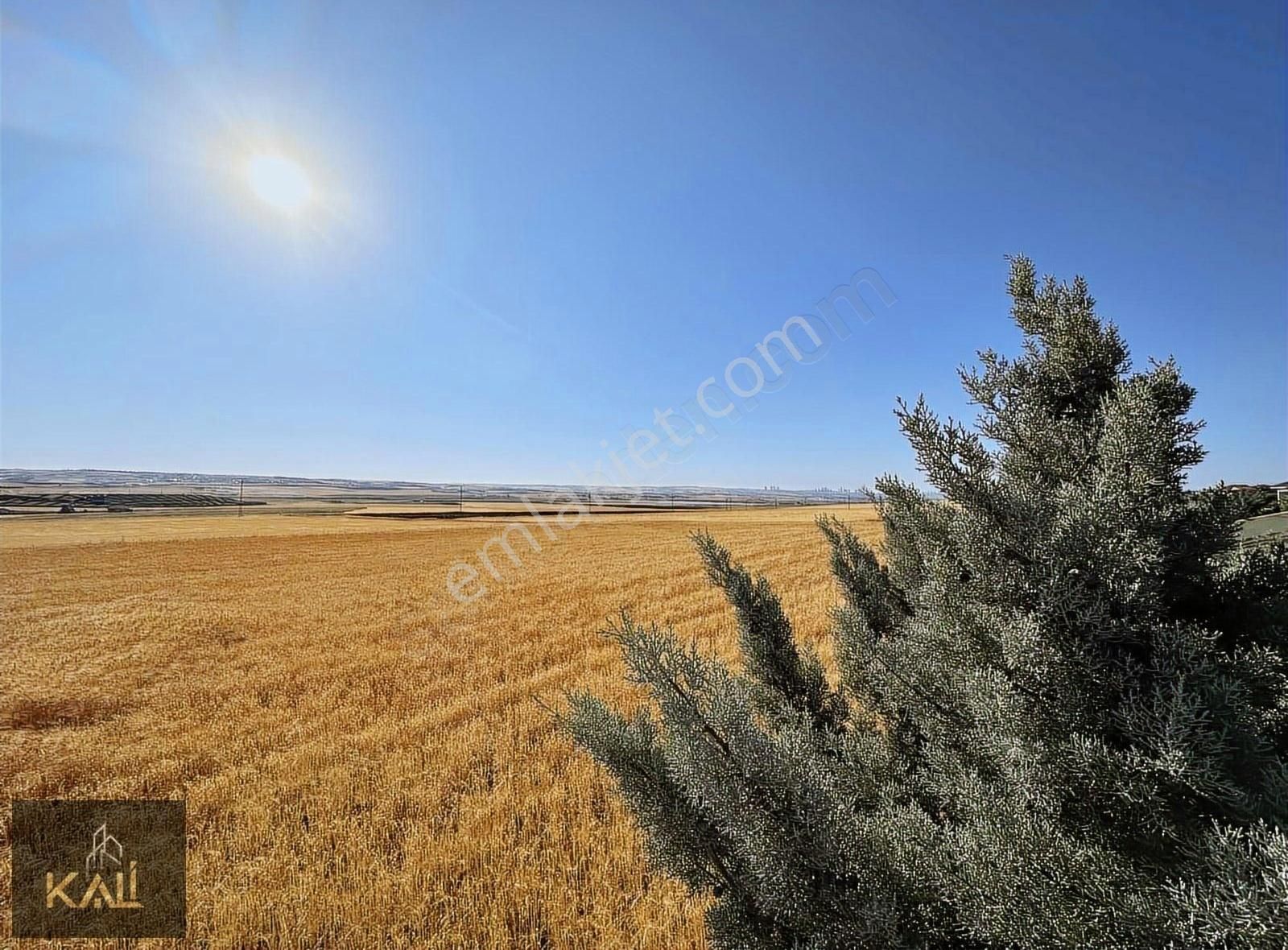 Yağlıpınar'da Satılık Manzaralı Altyapı Hazır 500m2 Arsa Kali Aş