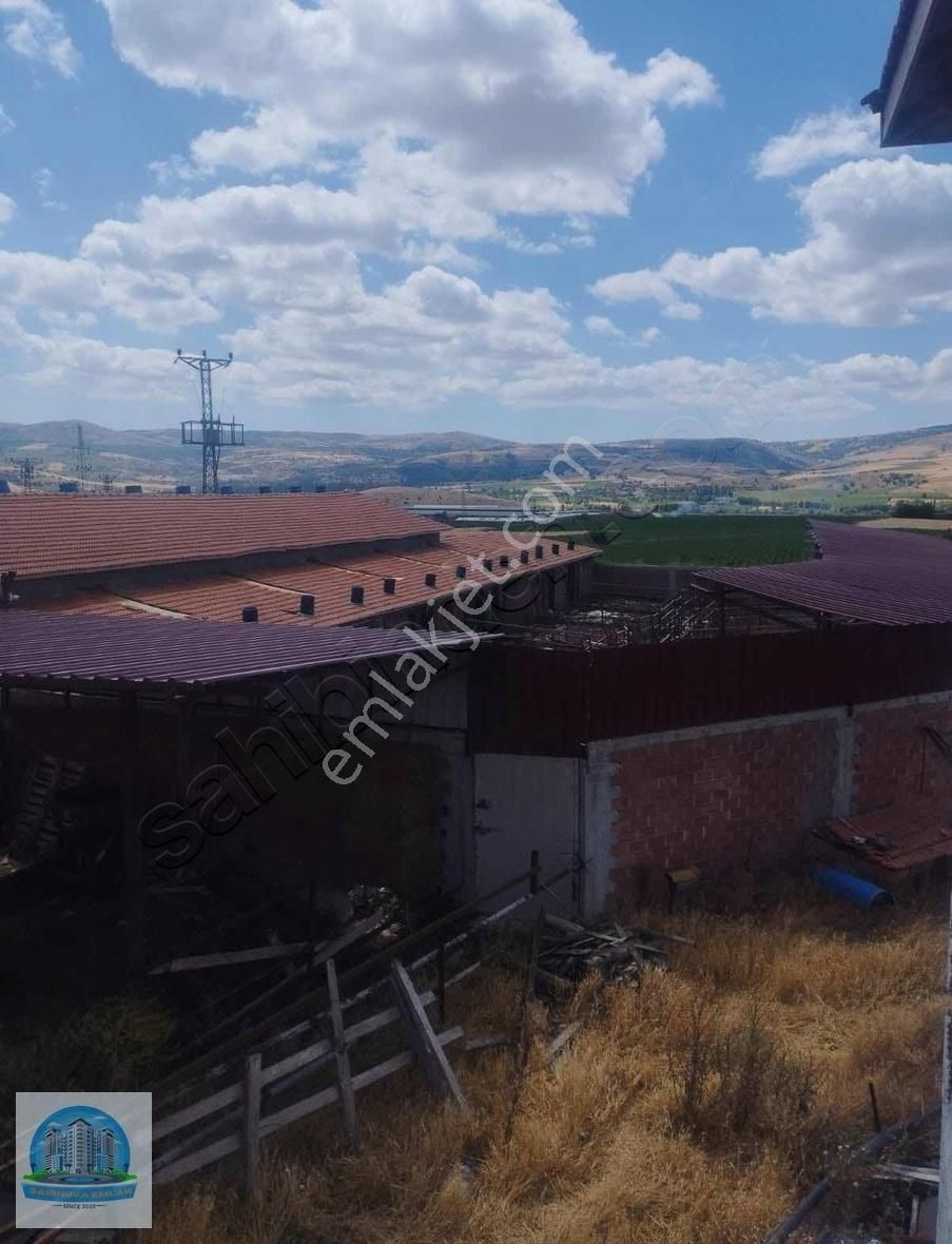 Mecitözünde Satılık Çiftlik 10 Dönüm