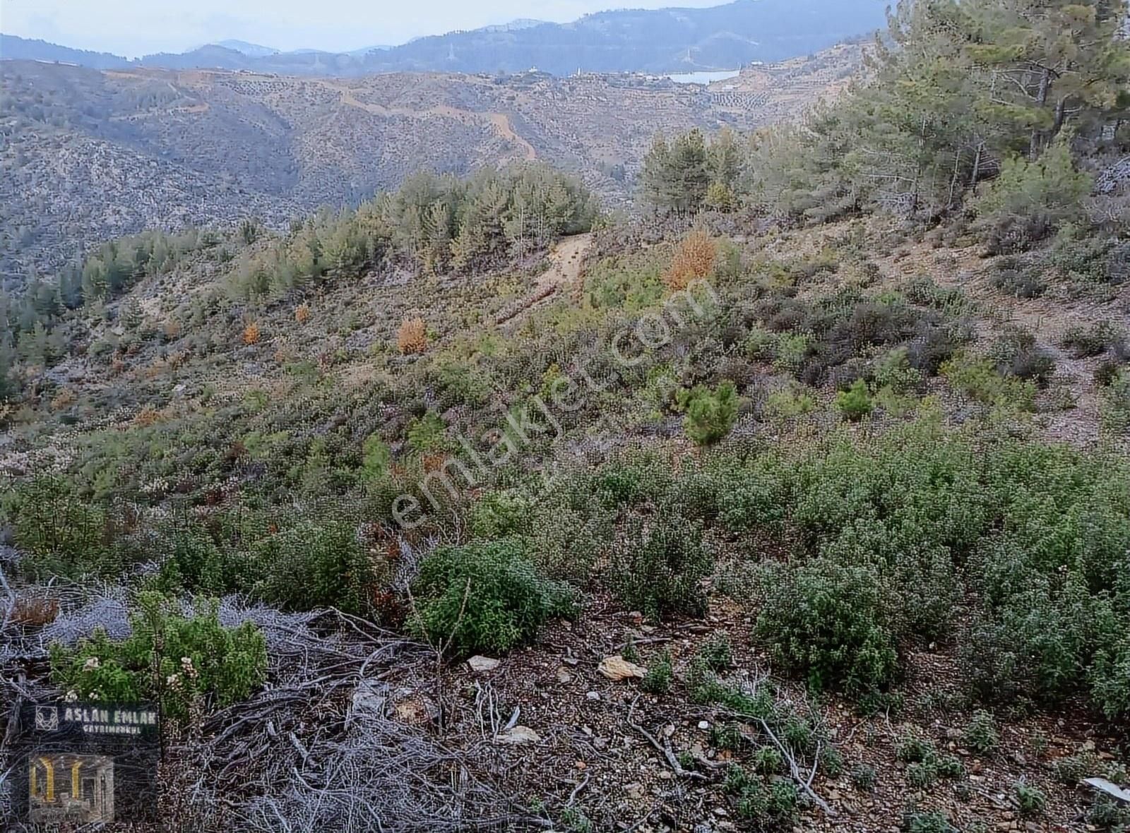Satılık Zeytinada Mah. 17 Dönüm Her Türlü Bahçeye Uygun Tarla - Görsel 3