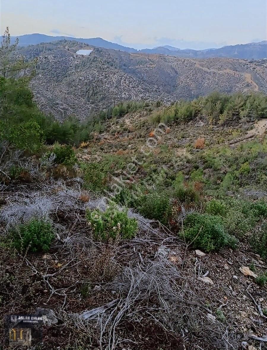 Satılık Zeytinada Mah. 17 Dönüm Her Türlü Bahçeye Uygun Tarla - Görsel 2