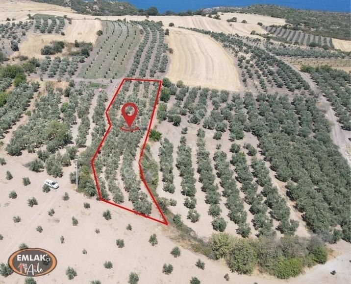 Bandırma Şirinçavuş Mahallesinde 3055 M² Satılık Tarla