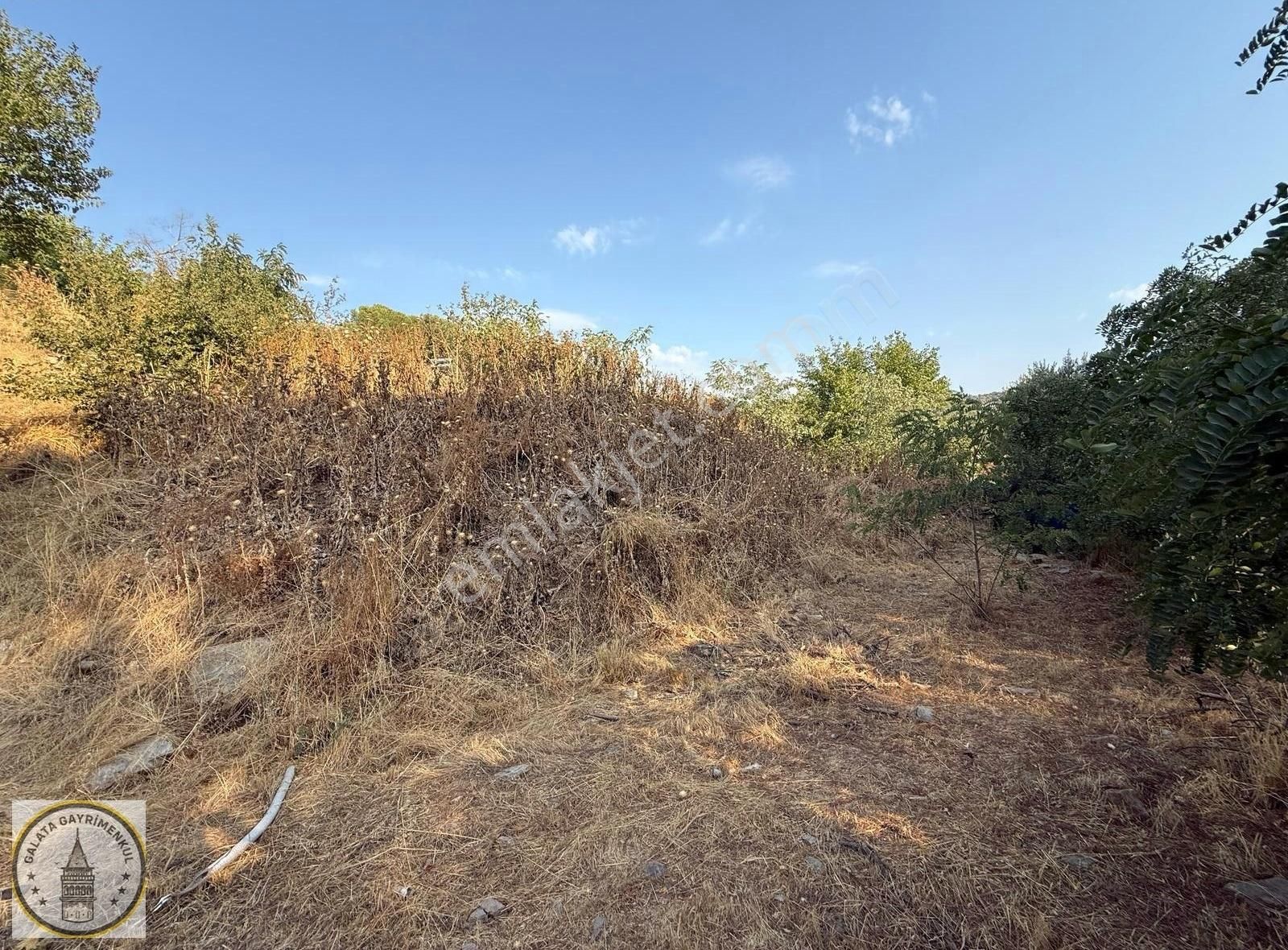 Galata,dan Koçarlı Haydarlı Mah De 470 M² Köy İçi İmarli Arsa - Görsel 2