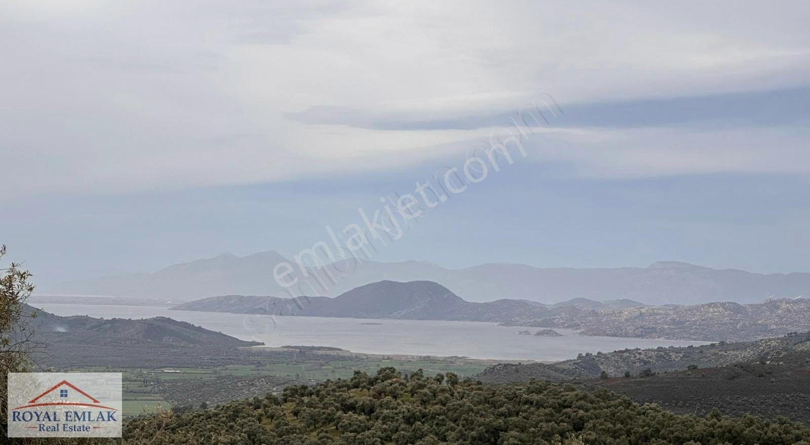 Muğla Milas Şenköy Göl Manzaralı Satılık Zeytinlik - Görsel 10