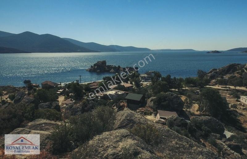 Muğla Milas Şenköy Göl Manzaralı Satılık Zeytinlik - Görsel 23
