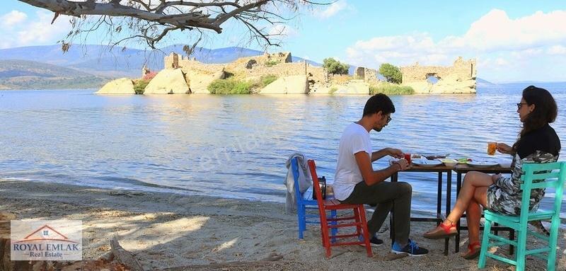 Muğla Milas Şenköy Göl Manzaralı Satılık Zeytinlik - Görsel 8