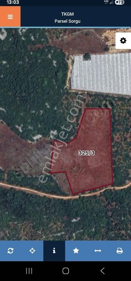 Satılık Müstakil Tarla 19.000 M2 Yeşilkaramanda