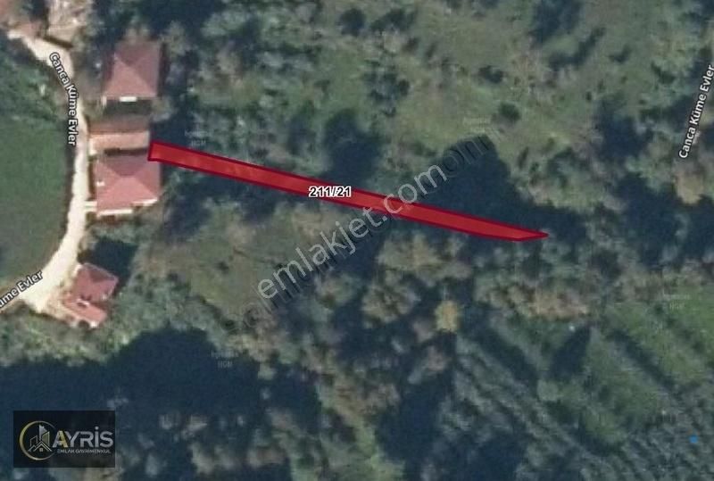 Rize Ardeşen Yamaçdere Köyü Satılık Çay Bahçesi