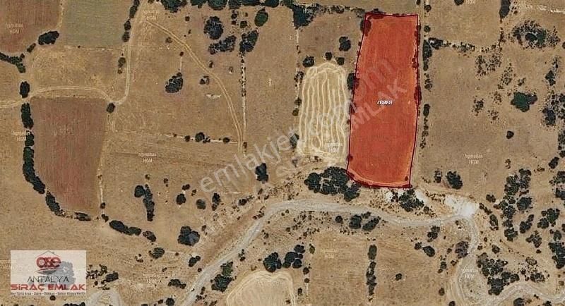 Burdur Çavdır Bölmepınar(dengere) Harika Konumda Satılık Tarla - Görsel 5
