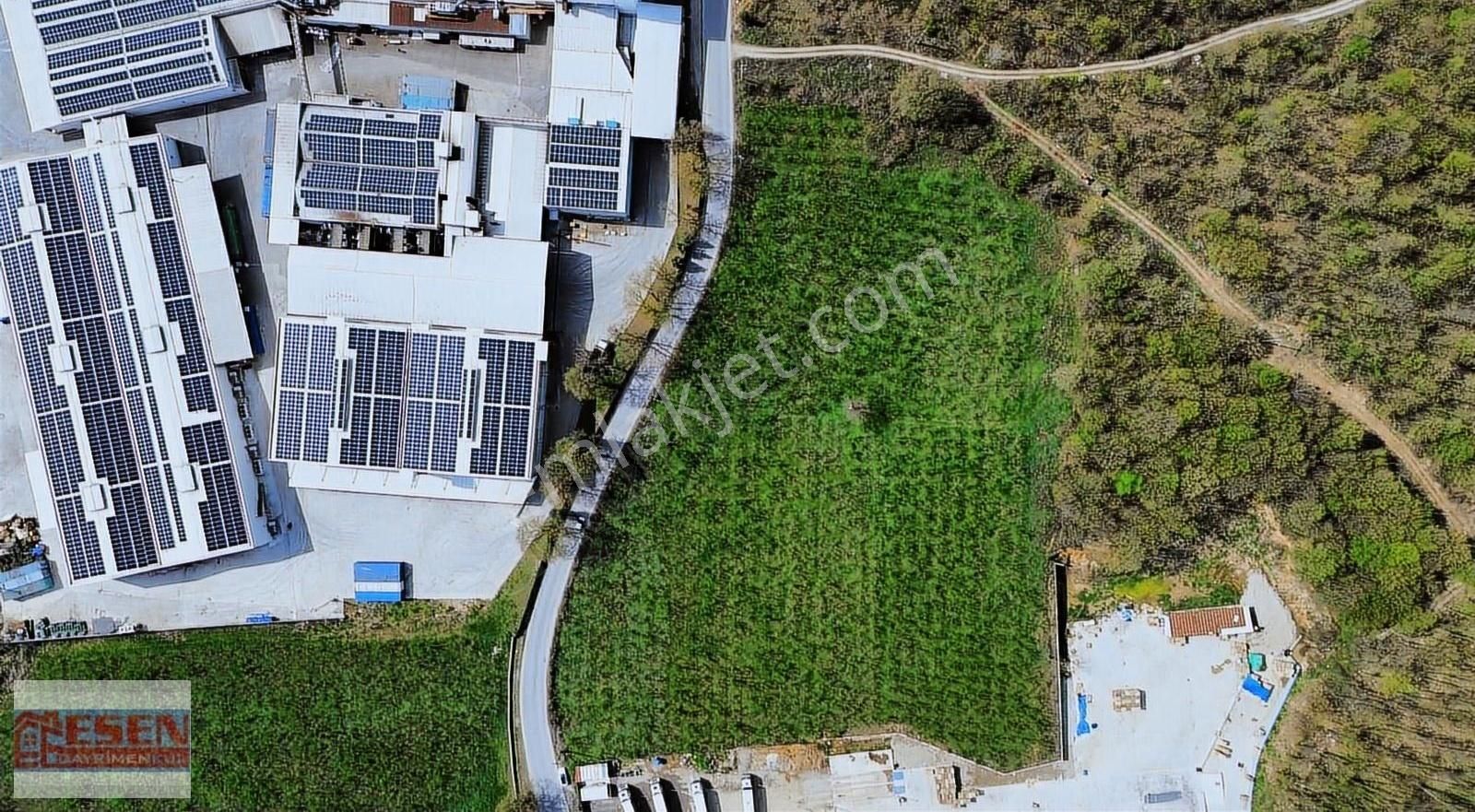 Esen Emlak'tan Sakarya Hendek Çağlayan Mükemmel Konumda Tamamı Sanayi İmarlı Emsal 1'dir - Görsel 12