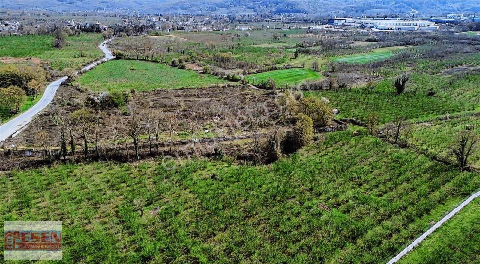 Esen Emlak'tan Sakarya Hendek Çağlayan Mükemmel Konumda Tamamı Sanayi İmarlı Emsal 1'dir - Görsel 27