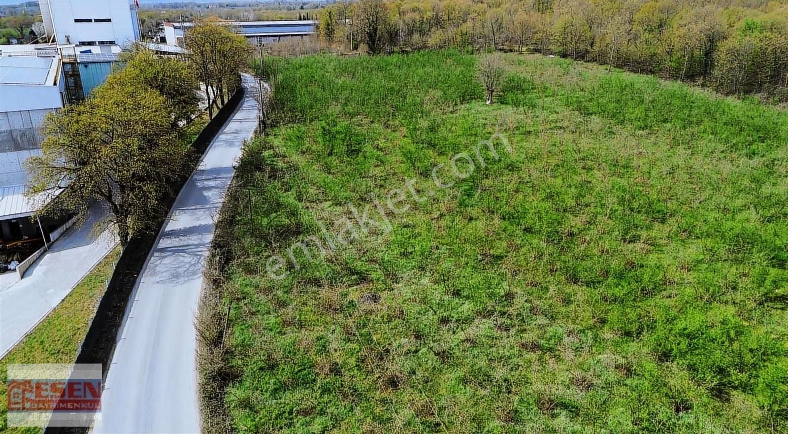 Esen Emlak'tan Sakarya Hendek Çağlayan Mükemmel Konumda Tamamı Sanayi İmarlı Emsal 1'dir - Görsel 11