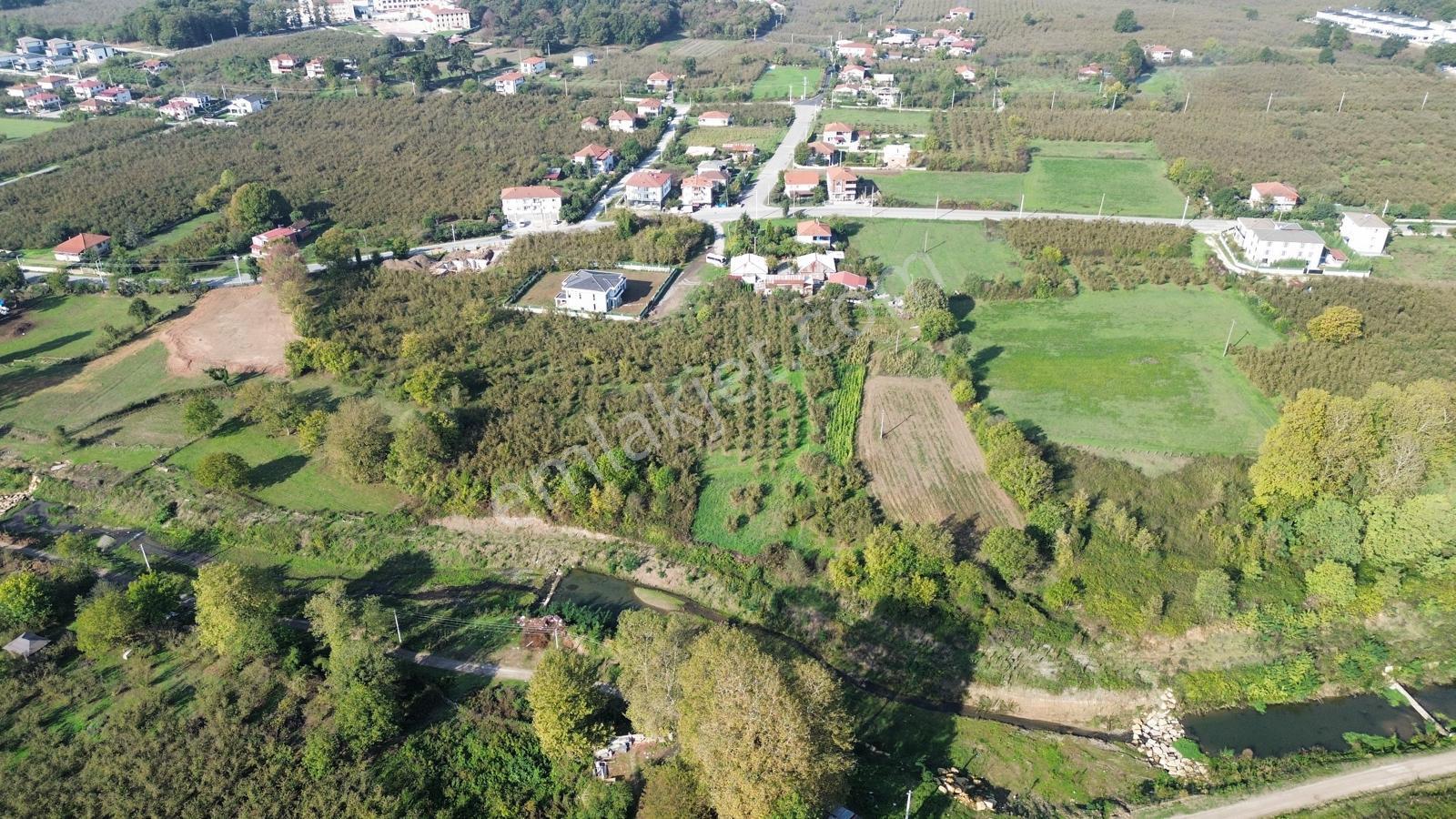Esen Emlak'tan Sakarya Hendek Çağlayanda Konut İmarlı Parsel Uygun Fiyata. - Görsel 14