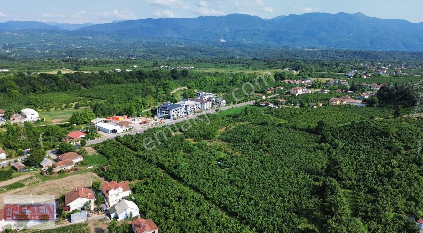 Esen Emlak'tan Sakarya Hendek Yeni Mh. Sınırlarından 4 Kat %35 Konut İmarlı - Görsel 9