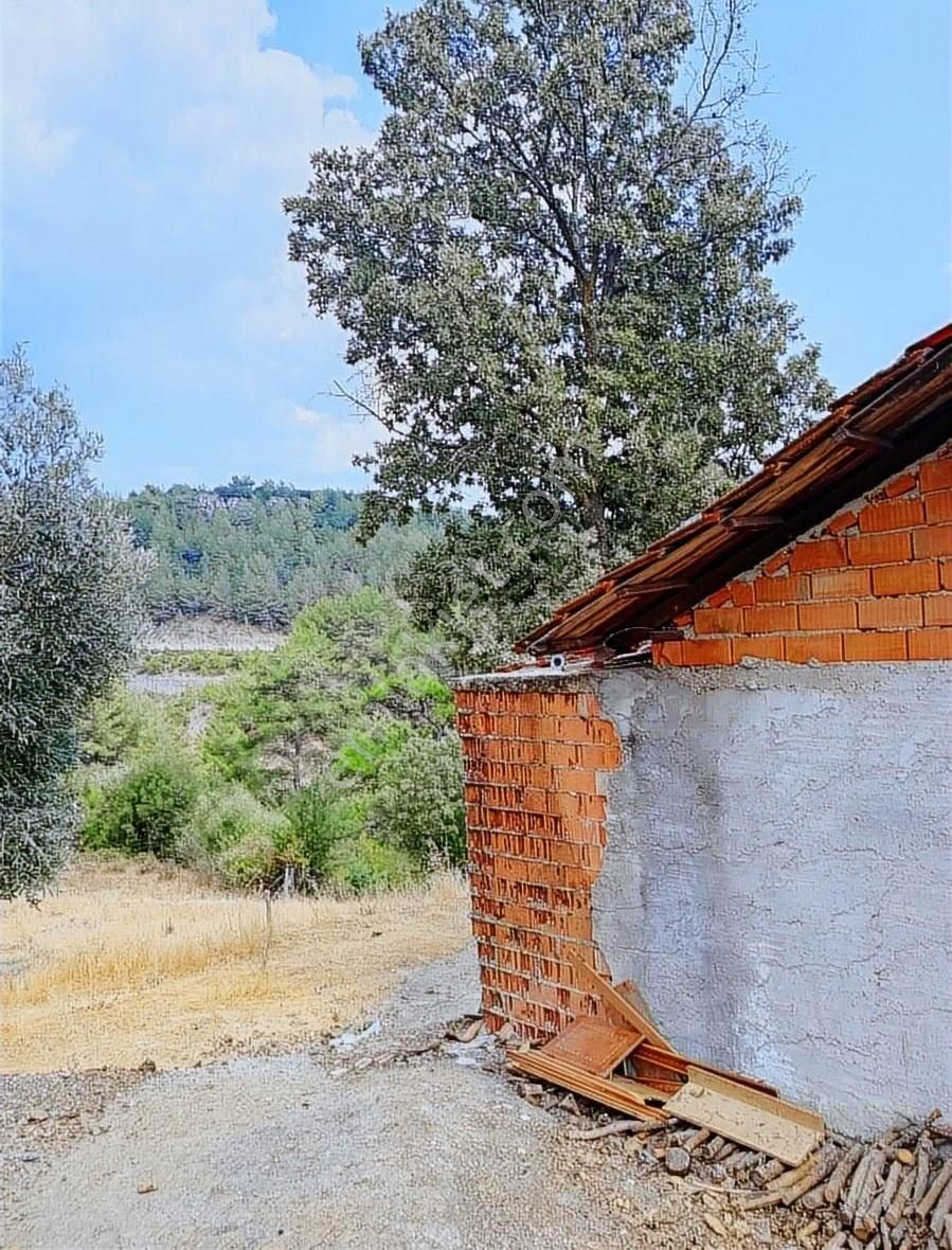 Muğla Yaylasöğüt'te Satılık Tarla - Görsel 2