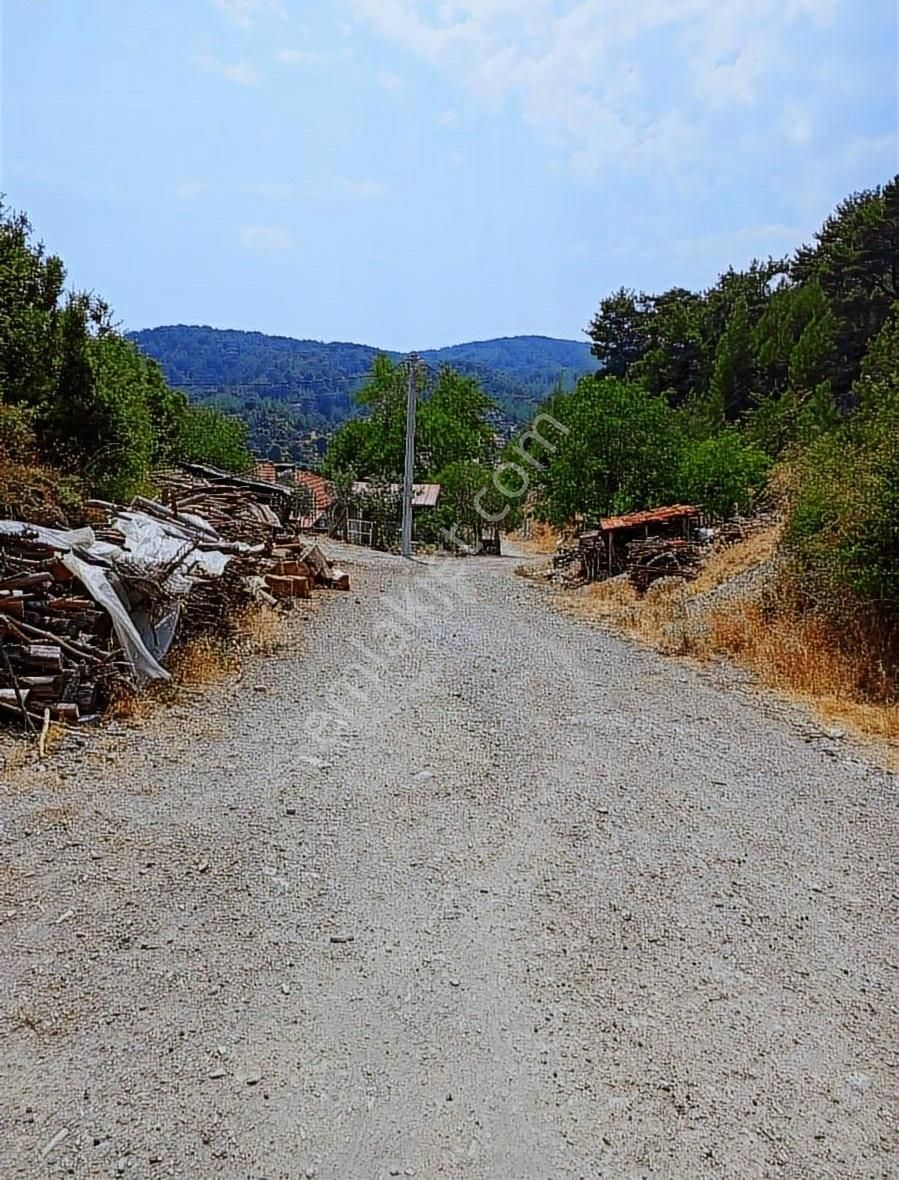 Muğla Yaylasöğüt'te Satılık Tarla - Görsel 6
