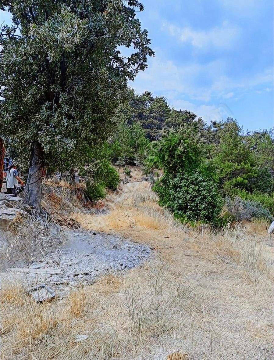 Muğla Yaylasöğüt'te Satılık Tarla - Görsel 3