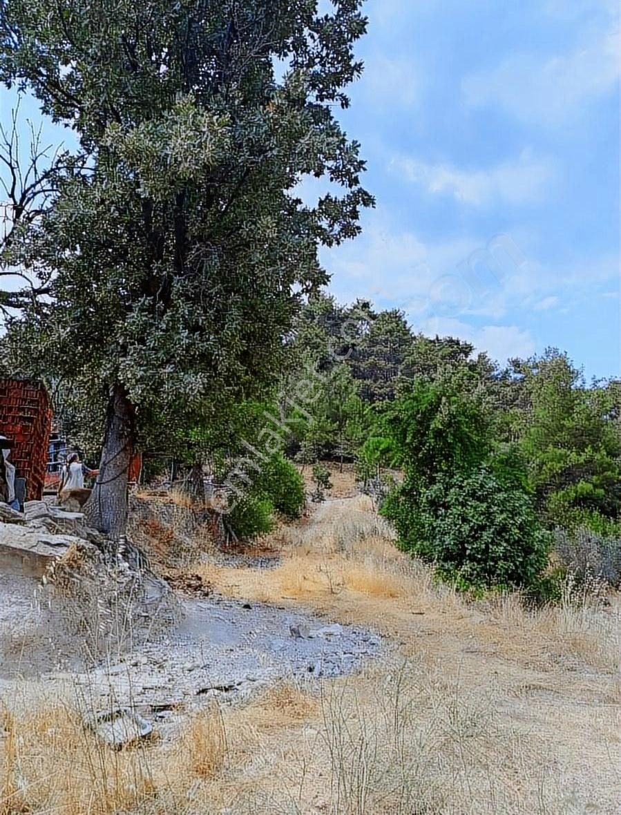 Muğla Yaylasöğüt'te Satılık Tarla - Görsel 5