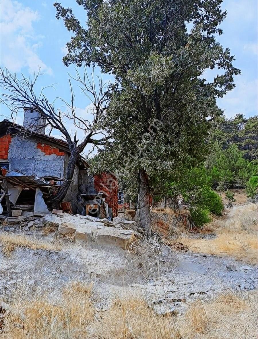Muğla Yaylasöğüt'te Satılık Tarla - Görsel 4