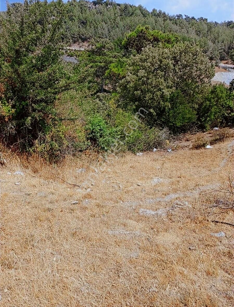 Muğla Yaylasöğüt'te Satılık Tarla - Görsel 7