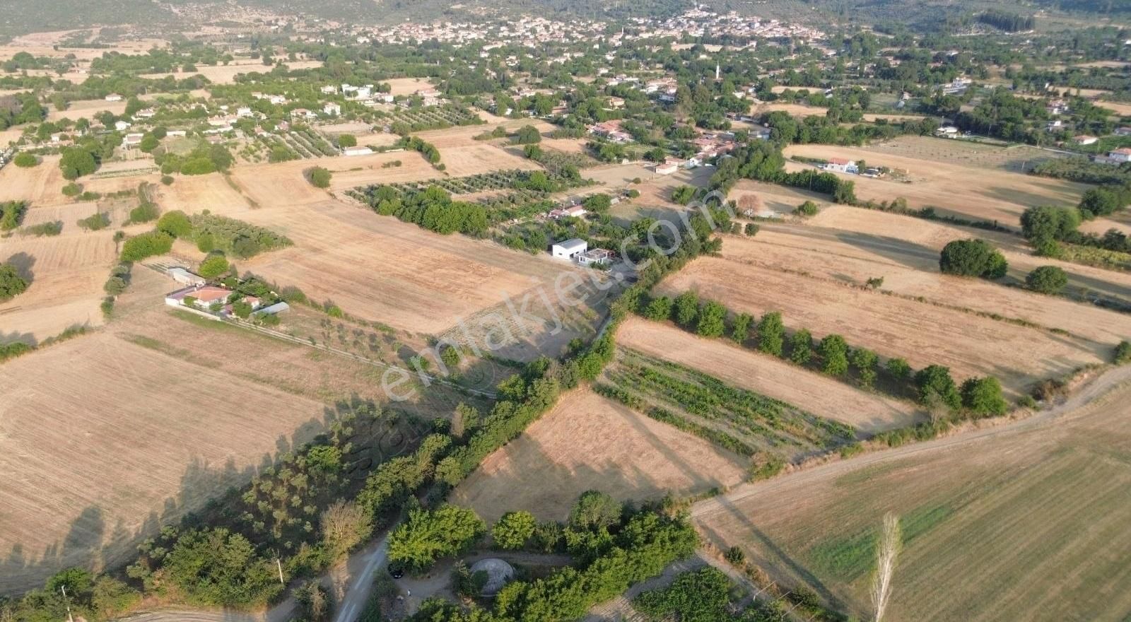 Muğla Menteşe Yeşilyurt Mahallesinde 2 Parsel Tek Fiyat