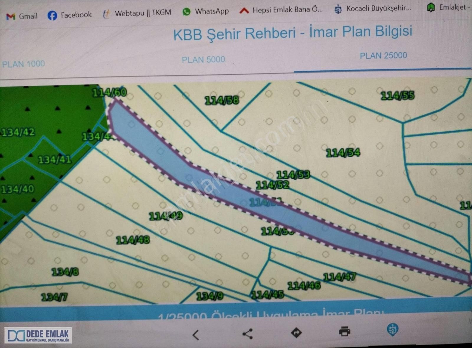 Kandıra Çalca Köyü Fındık Bahçesi