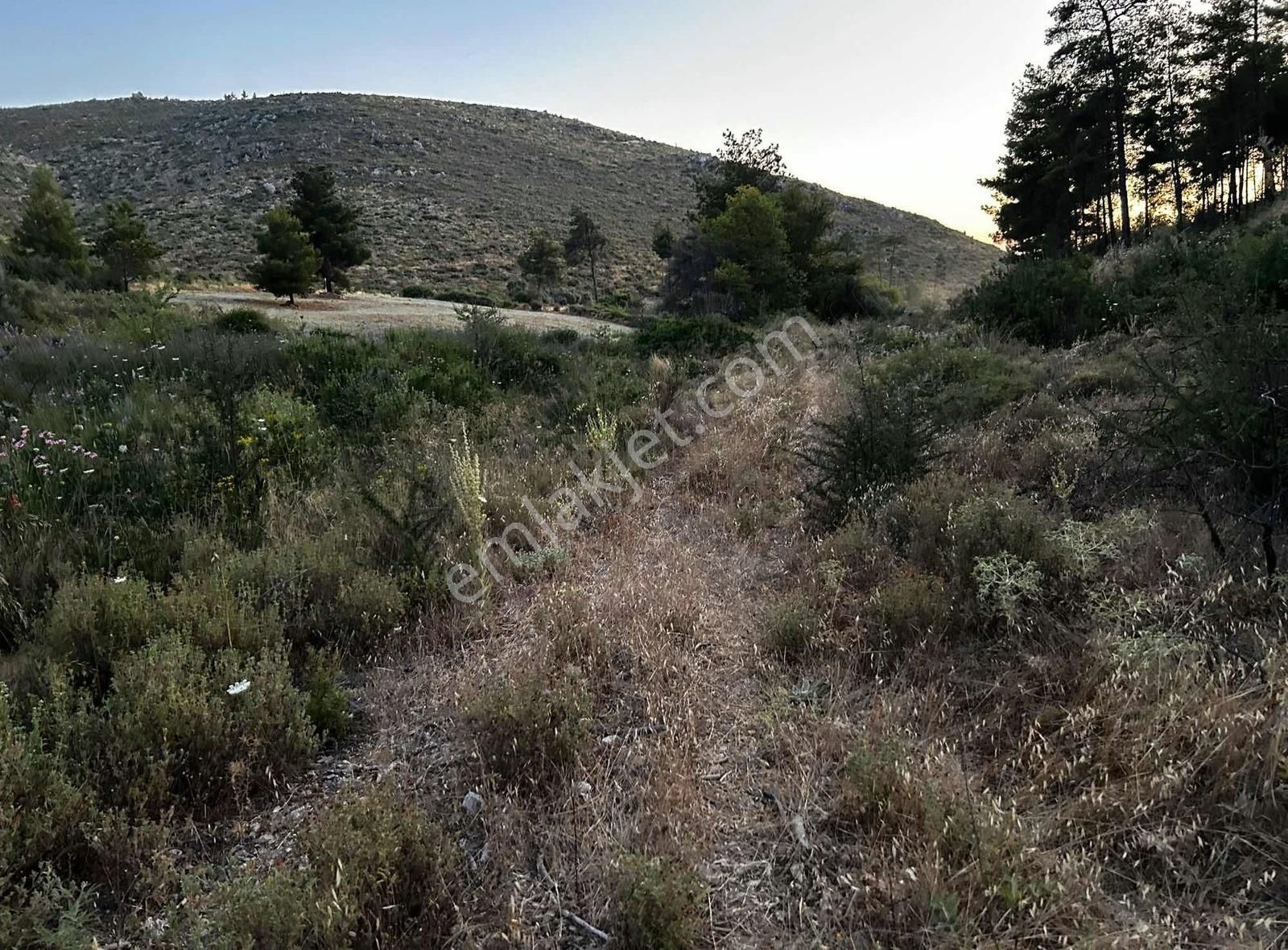 Akbaşlar'dan Bodrum Gökpınarda 1 Dönümlük Fırsat Arazi - Görsel 4