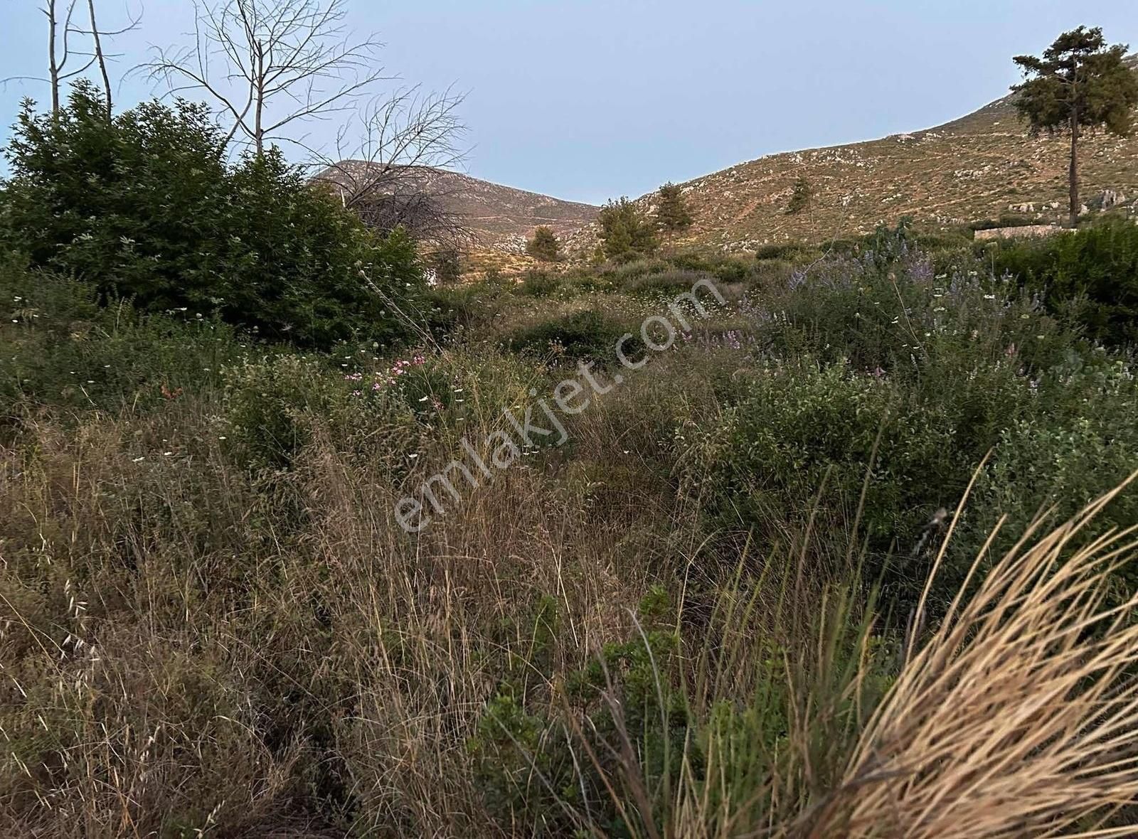 Akbaşlar'dan Bodrum Gökpınarda 1 Dönümlük Fırsat Arazi - Görsel 5