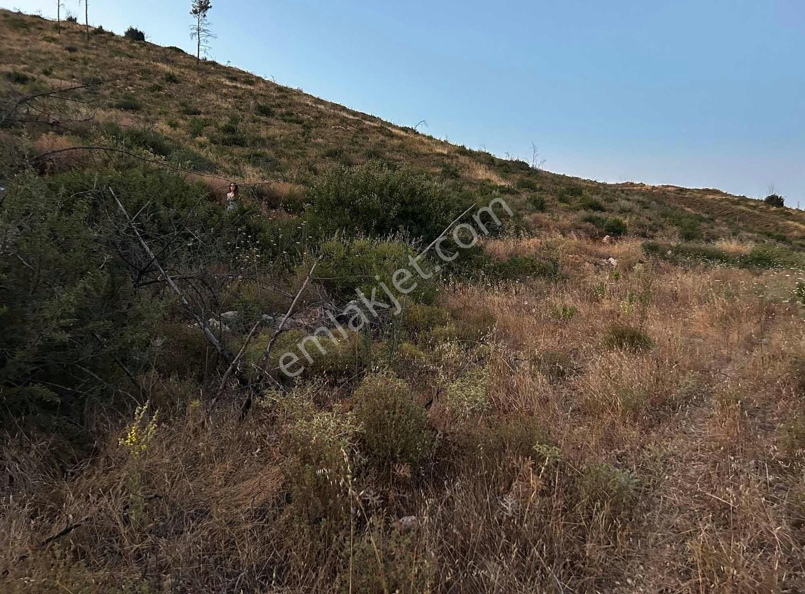 Akbaşlar'dan Bodrum Gökpınarda 1 Dönümlük Fırsat Arazi - Görsel 2