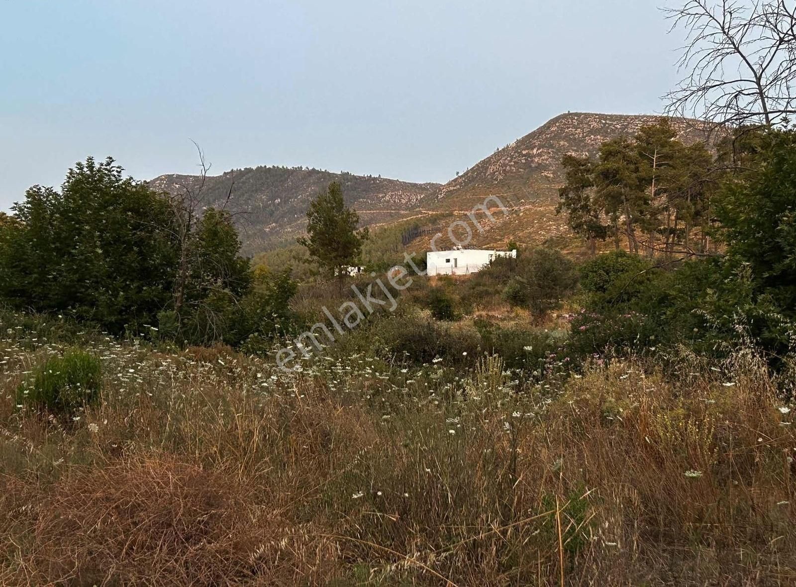 Akbaşlar'dan Bodrum Gökpınarda 1 Dönümlük Fırsat Arazi - Görsel 16