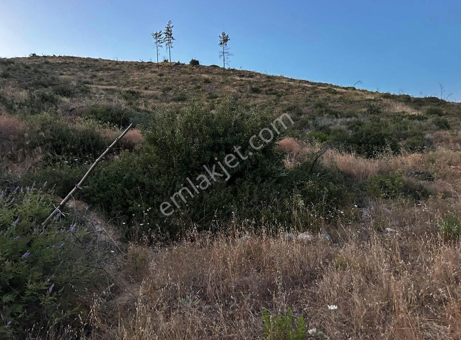 Akbaşlar'dan Bodrum Gökpınarda 1 Dönümlük Fırsat Arazi - Görsel 20