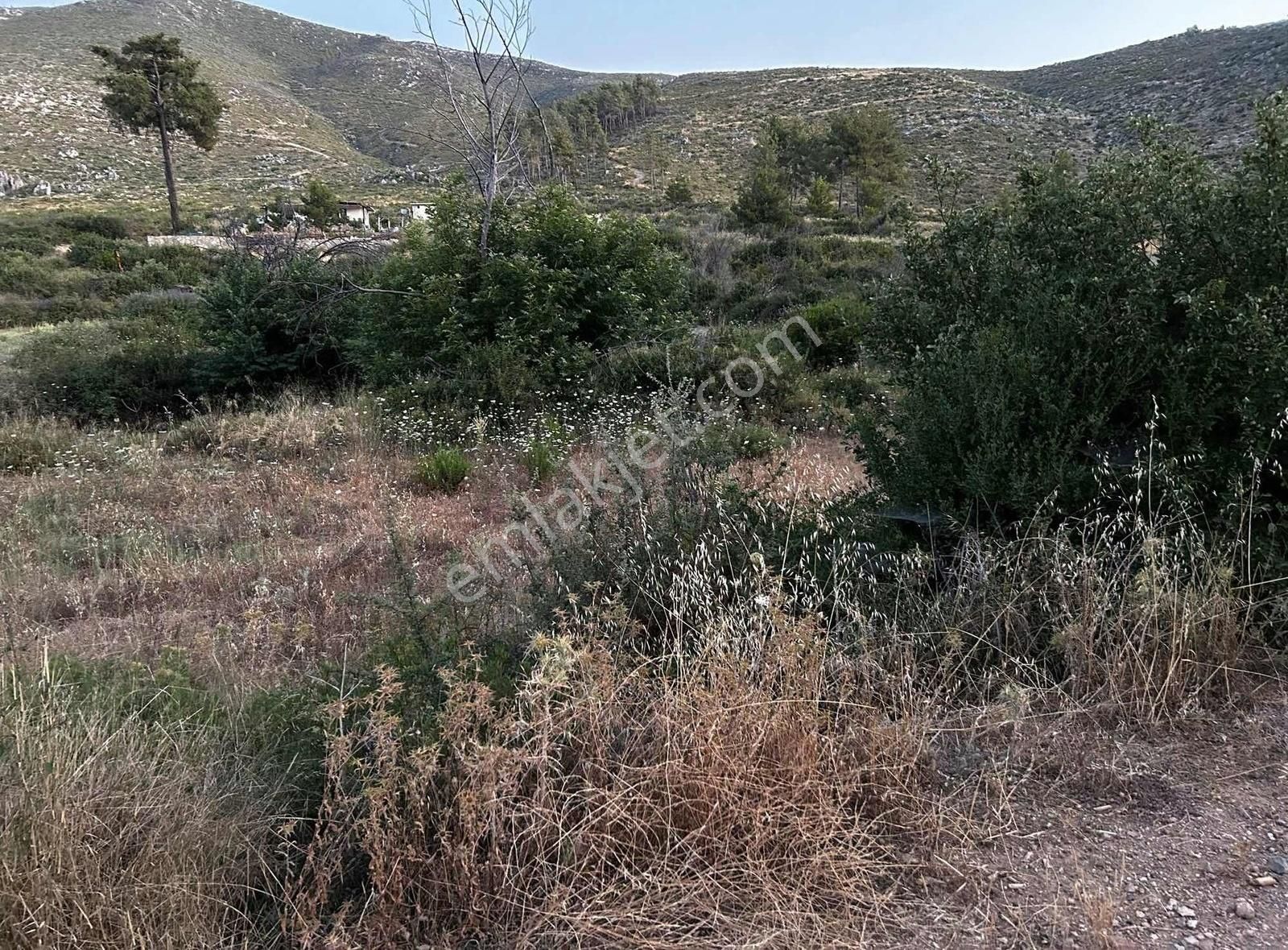 Akbaşlar'dan Bodrum Gökpınarda 1 Dönümlük Fırsat Arazi - Görsel 24