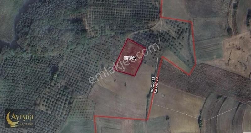 Fırsat !!! Kandıra Sarıgazi'de 2 Dönüm Tek Tapulu Satılık Tarla - Görsel 3