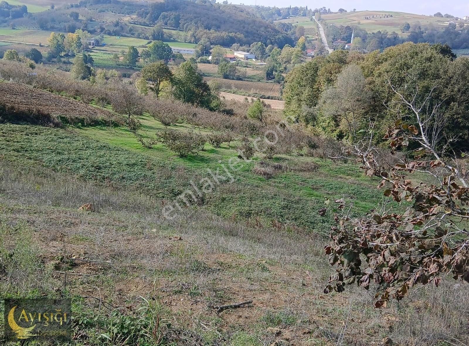 Fırsat !!! Kandıra Sarıgazi'de 2 Dönüm Tek Tapulu Satılık Tarla - Görsel 5