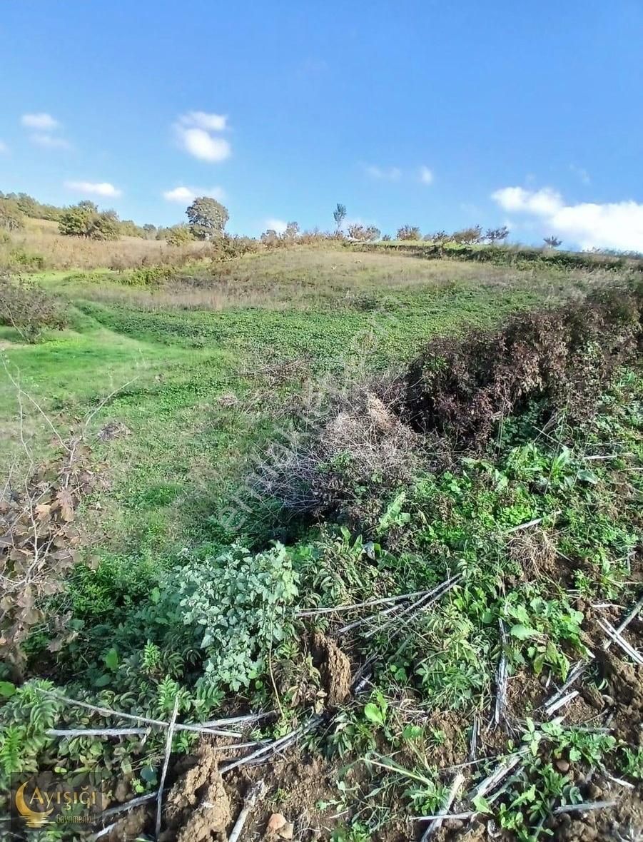 Fırsat !!! Kandıra Sarıgazi'de 2 Dönüm Tek Tapulu Satılık Tarla - Görsel 9