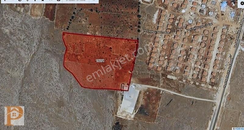 Şanlıurfa Halfeti Arğıl'da Satılık Fıstıklık