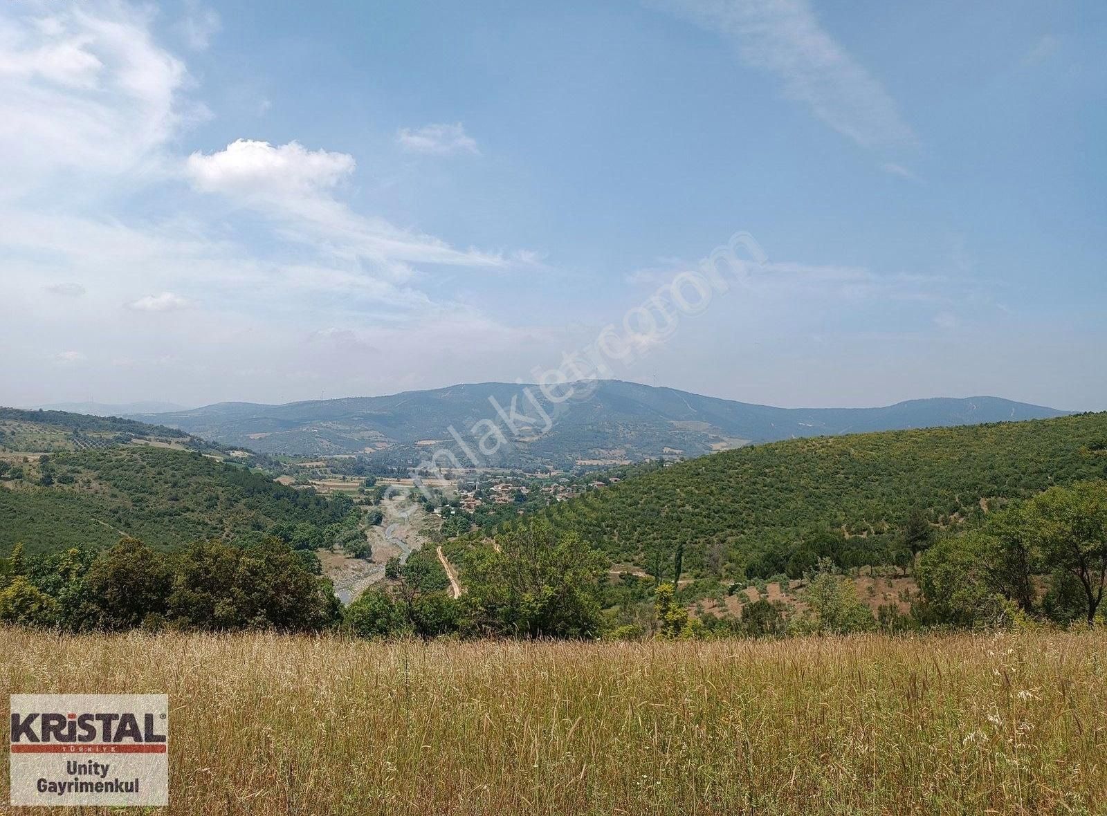 Balıkesir De Orman İçinde Satılık Tarla